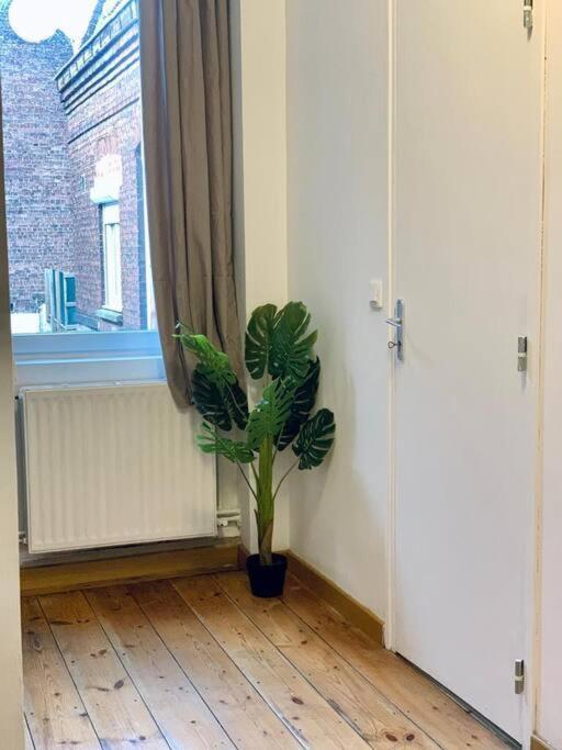 Maison 3 Chambres - 600M Metro Marbrerie - Lille Mons-en-Baroeul Zewnętrze zdjęcie