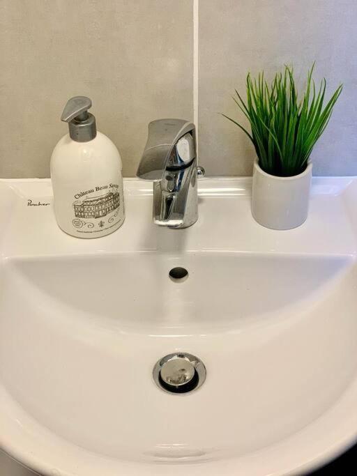 Maison 3 Chambres - 600M Metro Marbrerie - Lille Mons-en-Baroeul Zewnętrze zdjęcie